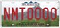 Collegiate - NM Tech Plate